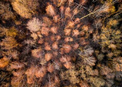 Mámoa de Monte Padró