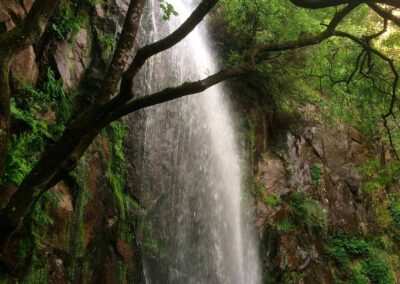Fervenza de Auga Caída